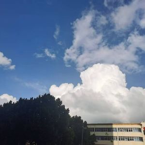 玉宇琼楼