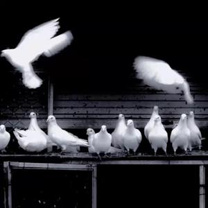 那就再爱这一次