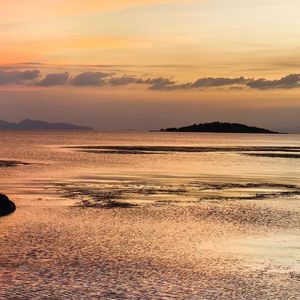 是你教会我如何熟练地不快乐