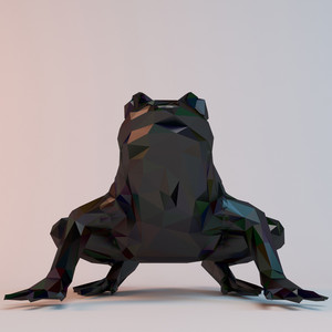 Frog Signal