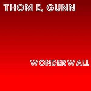 Don't Look Back in Anger (Synth Version)