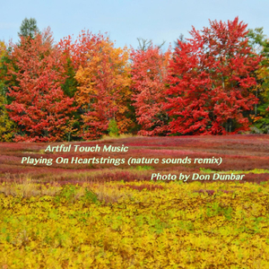 Sunlight Thru Clouds (Birdsong Mix)