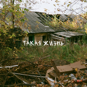 Черемша (в Советском Союзе делали это...)