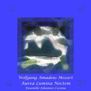 Duet in F Major, K. 620: 7. Du feines Täubchen nur herein!