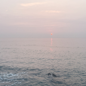 日出时让恋爱终结