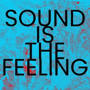 Sound is The Feeling (feat. Fiamma & Niladri Roy)