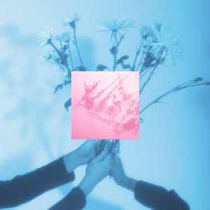 Fleur (feat. Teen Daze)