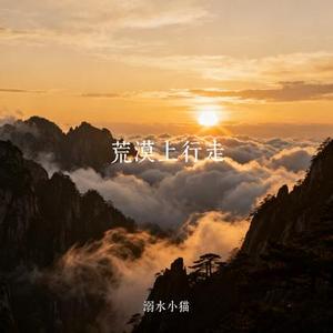 荒漠上行走 (Cover 亚森)