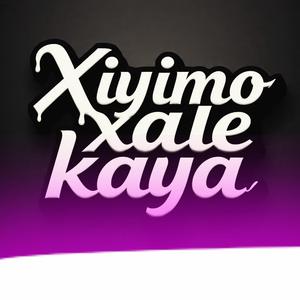 Xiyimo Xale Kaya (feat. Hluli Bee Rsa)