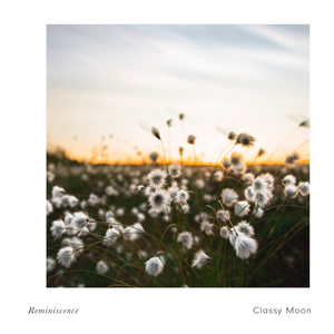 Reminiscence
