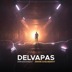 Delvapas