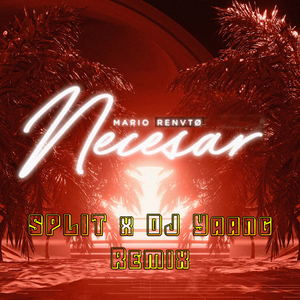 Necesar (Split X Dj Yaang Remix)