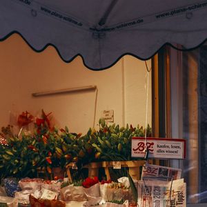 与地球的单独约会（Prod by BECU BEATZ）