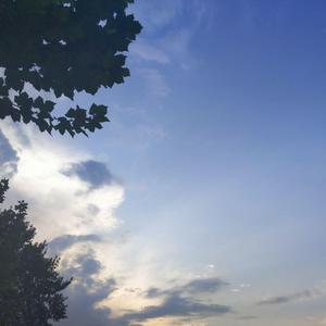 我的心曾悲伤过七次