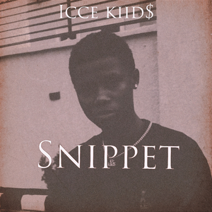Snippet