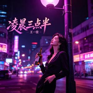 凌晨三点半DJ (王一佳 Remix）