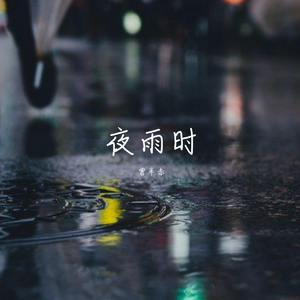 夜雨时（Prod.By PUNISHME）