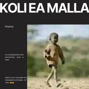 Koli ea malla