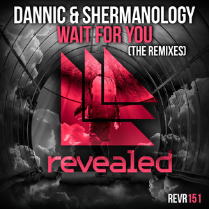 Wait For You (Tom & Jame Remix)