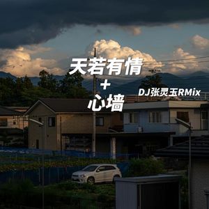 天若有情+心墙 DJ张灵玉RMix