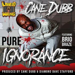 Something U Can Ride 2 (feat. Brio Braze & Sharitta)