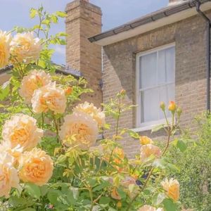 你能感受到我的心吗