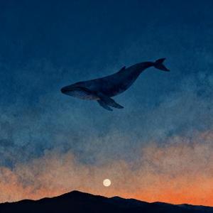 海焰流星