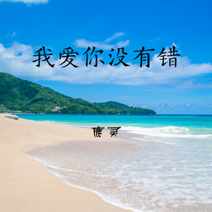 我爱你没有错