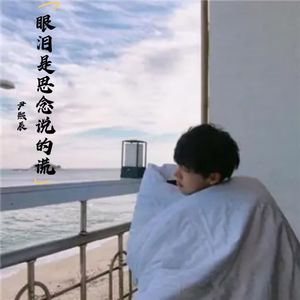 眼泪是思念说的谎