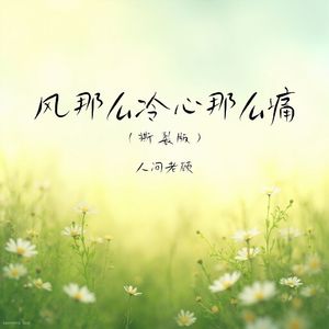 风那么冷心那么痛(撕裂版)
