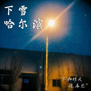 下雪哈尔滨（live）