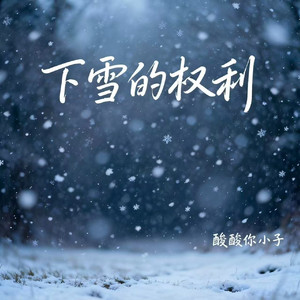 下雪的权利