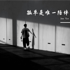 孤单是唯一陪伴