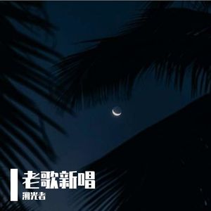 80年代标本 (Edit) (1)