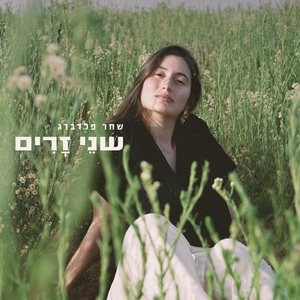 אבירים וסוסים