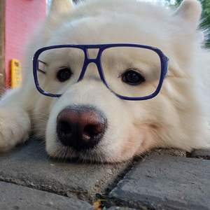 送你一朵小红花（翻自 赵英俊）