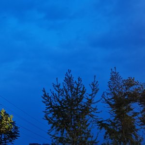 舍得（片段 cover 王唯旖）