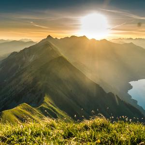 遇事不决 可问春风