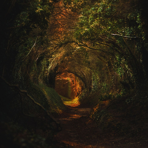 Gollum's Song (from "Lord of the Rings")