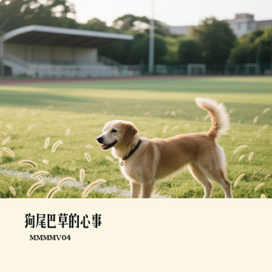 狗尾巴草的心事 伴奏