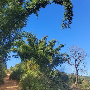 得未曾有，失若潮汐