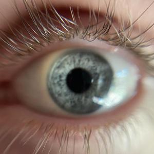 till the world blows (feat. btwbrandon)