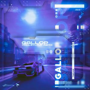 Gallop(小乐XLDW Remix)