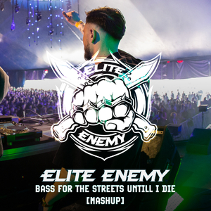 Bass For The Streets Untill I Die [MASHUP]