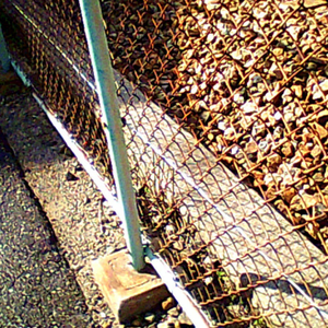 明日世界が終わるらしい 2025