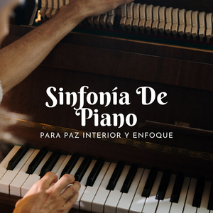 Ritmos Relajantes De Piano