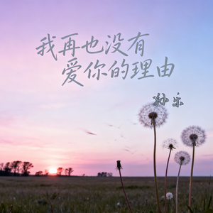 我再也没有爱你的理由