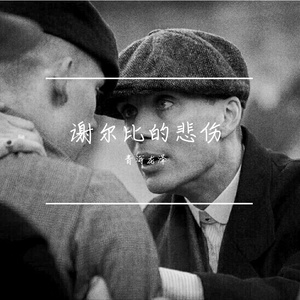 汤米•谢尔比 故事