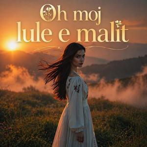 Oh moj lule e malit