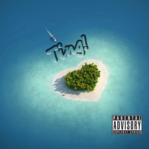 - -Ting!（鬼脸(Grimace) Remix）（鬼脸(Grimace) remix）